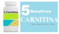 5 Beneficios de la Carnitina
