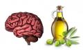 Beneficios del Aceite de Oliva para el Cerebro