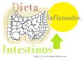 Dieta para Intestinos Inflamados