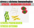 Estres y Sistema Inmunologico Oxidacion Celular que Enferma