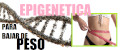 Epigenetica para Bajar de Peso